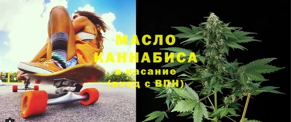 дживик Снежногорск