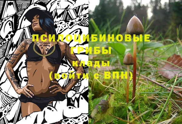 дживик Балабаново