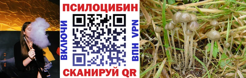 закладки  Краснокаменск  kraken онион  Галлюциногенные грибы мухоморы 